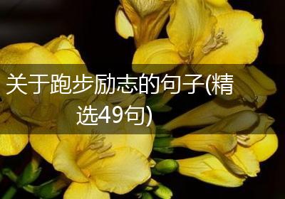 关于跑步励志的句子(精选49句)