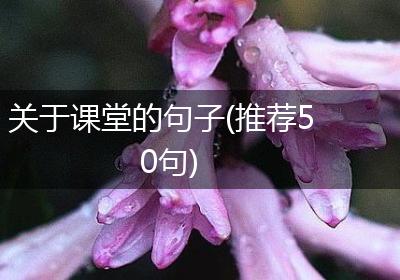 关于课堂的句子(推荐50句)