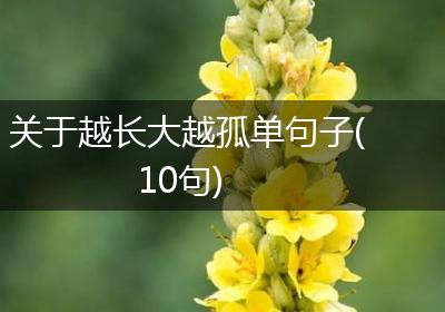 关于越长大越孤单句子(10句)