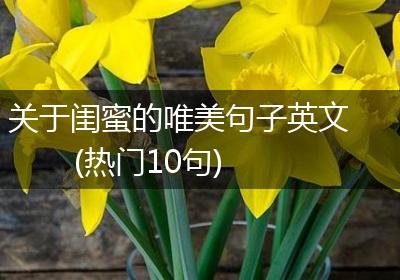 关于闺蜜的唯美句子英文(热门10句)