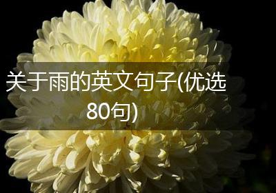 关于雨的英文句子(优选80句)