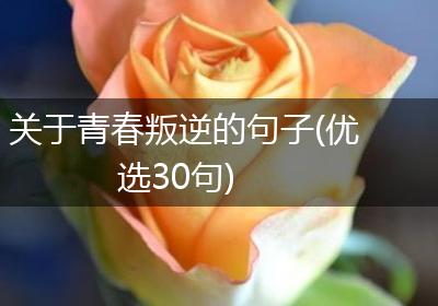 关于青春叛逆的句子(优选30句)