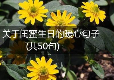 关于闺蜜生日的暖心句子(共50句)