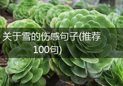 关于雪的伤感句子(推荐100句)