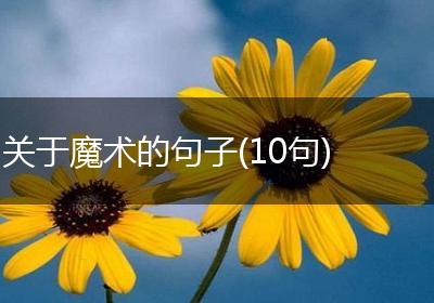 关于魔术的句子(10句)