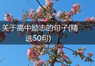 关于高中励志的句子(精选50句)