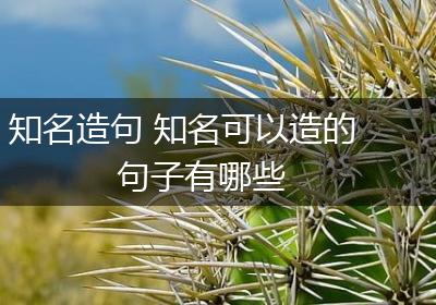 知名造句 知名可以造的句子有哪些
