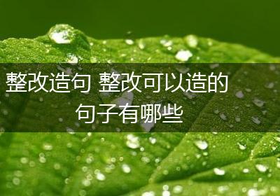 整改造句 整改可以造的句子有哪些
