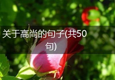 关于高尚的句子(共50句)