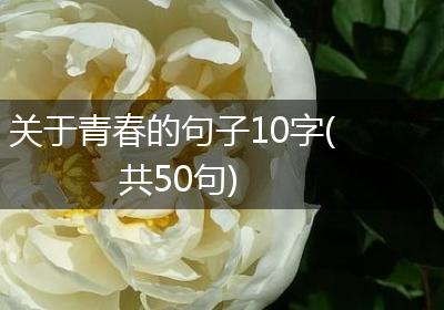 关于青春的句子10字(共50句)
