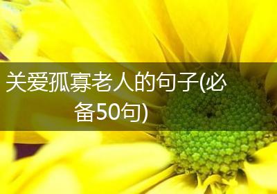 关爱孤寡老人的句子(必备50句)