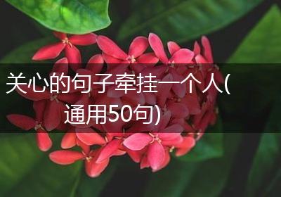 关心的句子牵挂一个人(通用50句)