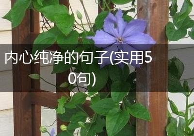 内心纯净的句子(实用50句)