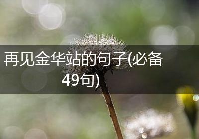再见金华站的句子(必备49句)