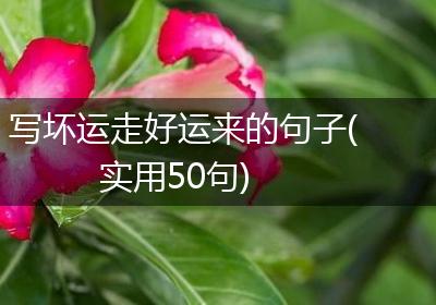 写坏运走好运来的句子(实用50句)