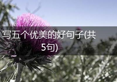 写五个优美的好句子(共5句)