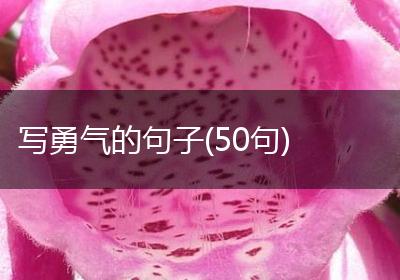 写勇气的句子(50句)