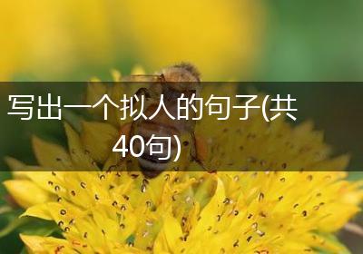 写出一个拟人的句子(共40句)