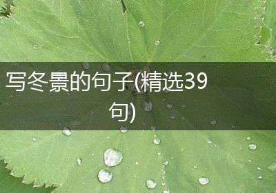 写冬景的句子(精选39句)