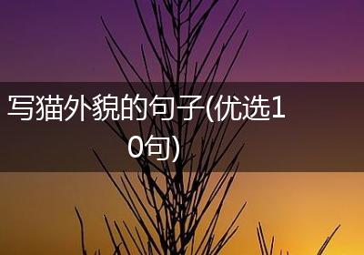 写猫外貌的句子(优选10句)