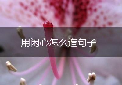 用闲心怎么造句子