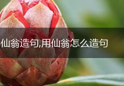 仙翁造句,用仙翁怎么造句