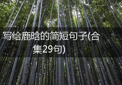 写给鹿晗的简短句子(合集29句)