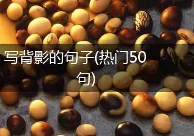 写背影的句子(热门50句)