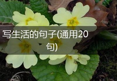 写生活的句子(通用20句)