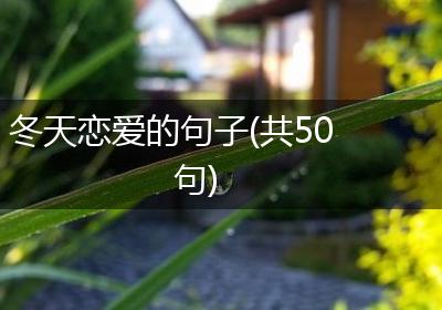 冬天恋爱的句子(共50句)