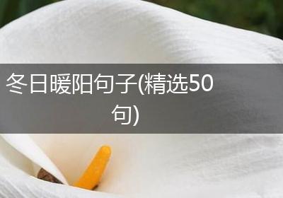 冬日暖阳句子(精选50句)