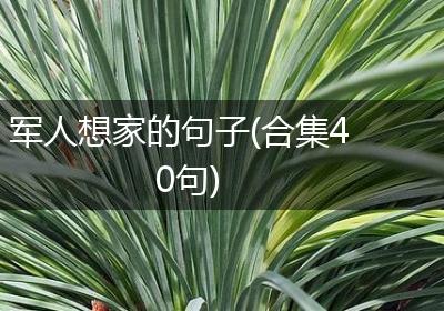 军人想家的句子(合集40句)