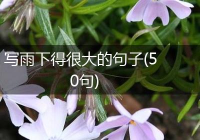 写雨下得很大的句子(50句)