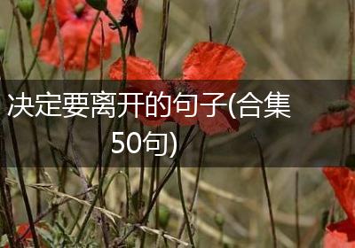 决定要离开的句子(合集50句)