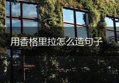 用香格里拉怎么造句子