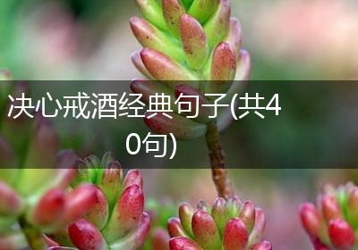 决心戒酒经典句子(共40句)