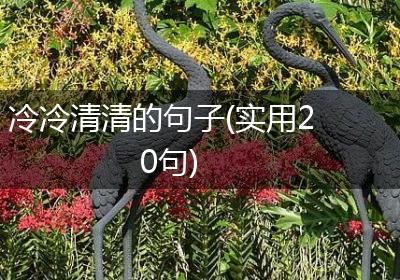 冷冷清清的句子(实用20句)