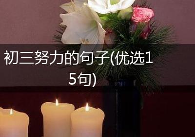 初三努力的句子(优选15句)