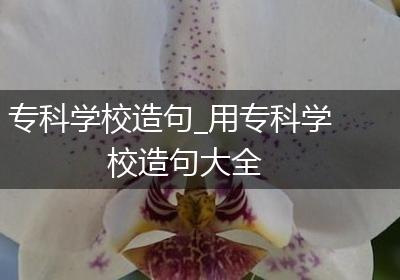 专科学校造句_用专科学校造句大全