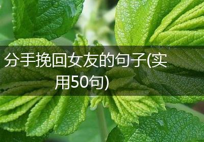 分手挽回女友的句子(实用50句)