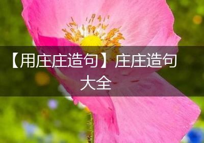 【用庄庄造句】庄庄造句大全
