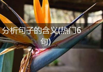 分析句子的含义(热门6句)