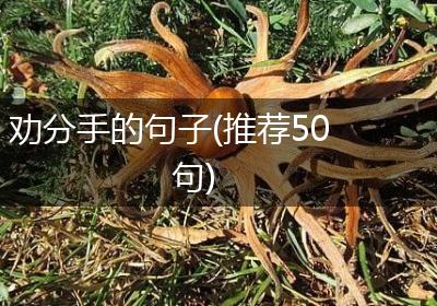 劝分手的句子(推荐50句)