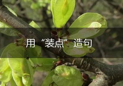 用“装点”造句