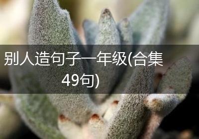 别人造句子一年级(合集49句)