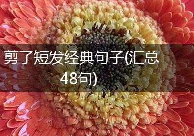 剪了短发经典句子(汇总48句)