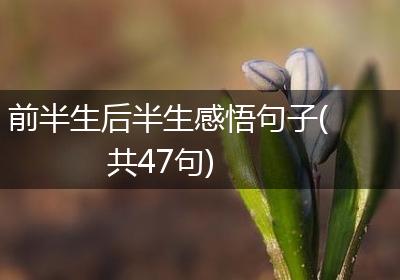 前半生后半生感悟句子(共47句)