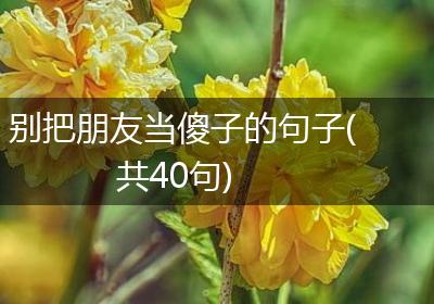 别把朋友当傻子的句子(共40句)