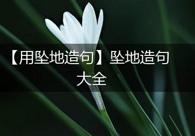 【用坠地造句】坠地造句大全