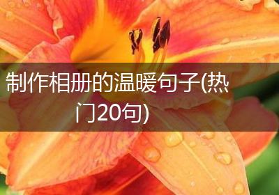 制作相册的温暖句子(热门20句)